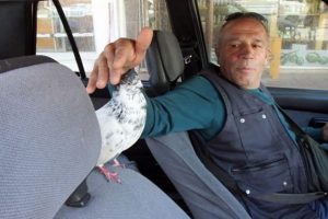 7 yıl &ouml;nce yolda buldular, şimdi yanlarından ayrılmıyor