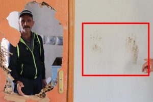 A&ccedil; kalan ayılar evlere girip eşyaları talan etti