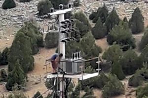 &Ouml;l&uuml;m riskine rağmen hırsızlık girişimi