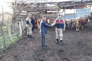 K&ouml;yl&uuml;n&uuml;n kaybolan hayvanlarını jandarma buldu