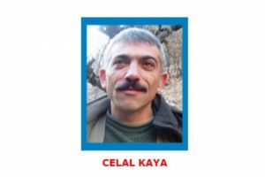 3 yıl &ouml;nce ayağından yaralanmıştı bu kez &ouml;ld&uuml;r&uuml;ld&uuml;!
