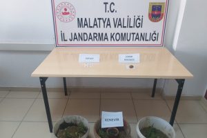 Malatya'da uyuşturucu operasyonuna 1 tutuklama