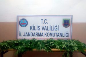 52 k&ouml;k Hint keneviri ele ge&ccedil;irildi