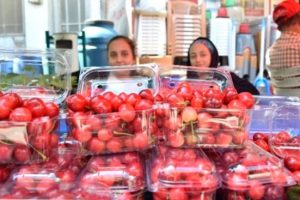 Lapseki&nbsp;kirazı 20 liradan tezgahlardaki yerini aldı