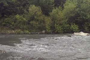 Kastamonu'da simsiyah akan &ccedil;ay k&ouml;yl&uuml;leri tedirgin etti