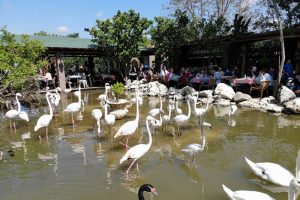 Flamingolu K&ouml;y" Anneler G&uuml;n&uuml;'nde ziyaret&ccedil;i akınına uğradı