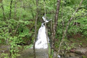 Kazdağları'na bahar ile birlikte gelen eşsiz g&uuml;zellik