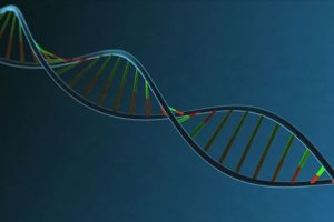 'İ&ccedil;indeki M&uuml;zik' projesi: İnsan DNA'sının m&uuml;ziği notalara d&ouml;k&uuml;ld&uuml;