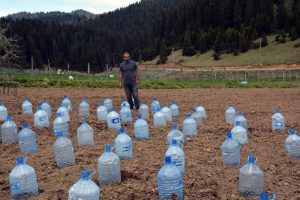 Zirai dona damacanalı &ouml;nlem!