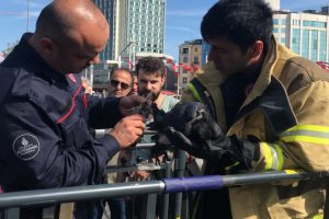 Taksim Meydanı'nda karga kurtarma operasyonu