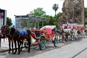 Kuşadası'nda atlı faytonlar kaldırıldı