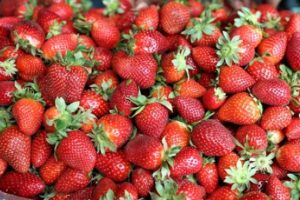 Rusya, T&uuml;rkiye'den aldığı 22 ton &ccedil;ileği geri g&ouml;nderdi