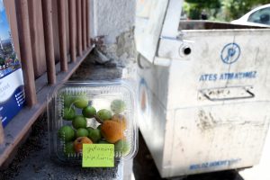 Meyveleri 'yıkanmış yiyebilirsiniz' notuyla okul duvarına bıraktı