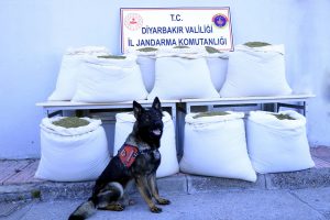 Lice'de minib&uuml;ste 346 kilo esrar ele ge&ccedil;irildi