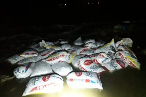 1 tonu canlı, 4 ton inci kefali ele ge&ccedil;irildi