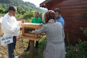 Bursa'da arıların kovan içindeki yaşantısını öğrenmek için geliyorlar
