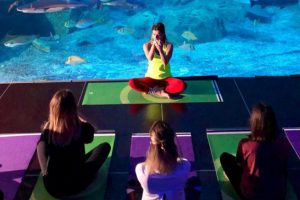 İstanbul Akvaryum'da yoga yaptılar