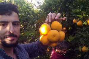 Trakt&ouml;rden d&uuml;şen s&uuml;r&uuml;c&uuml; can verdi!