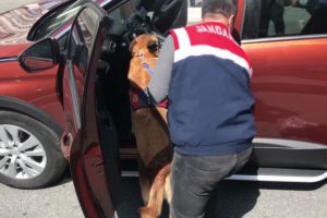 Jandarmadan nefes kesen uyuşturucu operasyonu