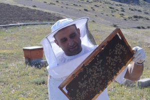 Hobi olarak başladığı arıcılık, mesleği oldu