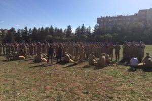 Siirt'te Mehmet&ccedil;ik i&ccedil;in kurban kesildi