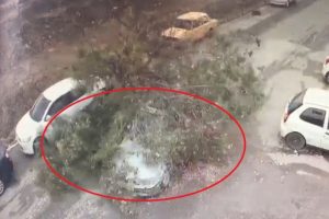 Test s&uuml;r&uuml;ş&uuml; yapılan aracın &uuml;zerine ağa&ccedil; devrildi
