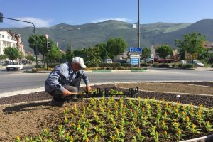 Bursa Gemlik'te kavşak ve orta ref&uuml;jler rengarenk