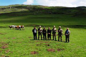 Kaybolan hayvanları jandarma drone ile buldu