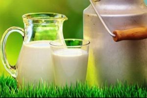 Tarım ve Orman Bakanlığından süt üreticilerine müjde