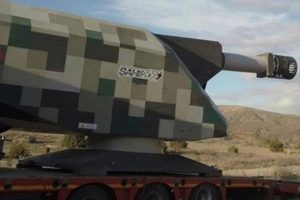 D&uuml;nya satın almak i&ccedil;in sıraya girdi!