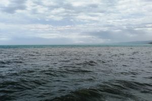 Karadeniz'in rengi değişti