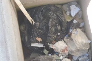 Yuvasından &ccedil;ukura d&uuml;şen yavru saksağanı itfaiye kurtardı