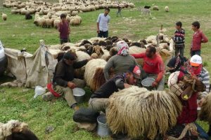 G&ouml;&ccedil;erlerin zorlu yayla yolculuğu s&uuml;r&uuml;yor