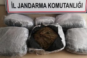 47 kilo esrar ele ge&ccedil;irildi