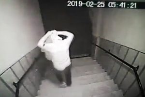 Ev sahibinin silahla hırsızları kovalaması kamerada