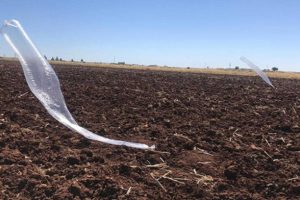 Şanlıurfa'da tarlaya m&uuml;himmat bağlı balon d&uuml;şt&uuml;