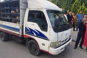 Kamyonetin &ccedil;arptığı yaya yaralandı