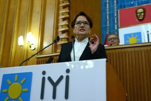 Akşener: Saray'dan bir &ccedil;ıkın, s&ouml;nen ocakları, dağılan yuvaları, umutsuz gen&ccedil;leri g&ouml;r&uuml;n