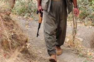 Suru&ccedil;'ta, PKK/PYD'li ter&ouml;rist yakalandı