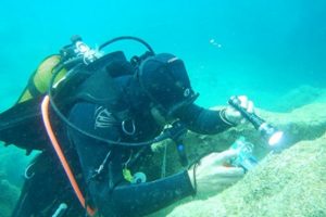 Antalya'nın deniz biyo&ccedil;eşitliliği inceleniyor