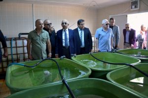&Ccedil;anakkale'de 5 bin &ccedil;upra yavrusu denize bırakıldı