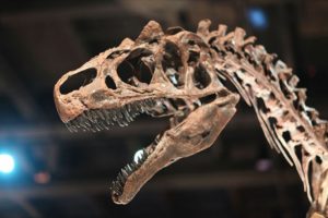 Tayland'da iki yeni dinozor t&uuml;r&uuml; keşfedildi