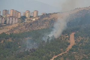 İzmir'de ormanda &ccedil;ıkan yangın s&ouml;nd&uuml;r&uuml;ld&uuml;, yakan kişi aranıyor
