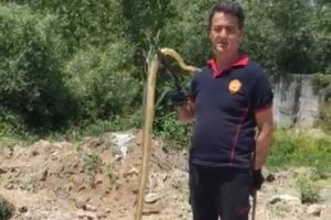 Oto yıkamacıya giren yılanı itfaiyeciler yakaladı