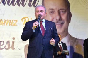 TBMM Başkanı Şentop: T&uuml;rkiye'nin milli meselesinde siyasi g&ouml;r&uuml;ş farkı olmaz