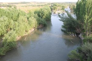 Dicle Nehri'nde iki ayrı olayda can pazarı! 7 &ccedil;ocuk kurtarıldı, 1 kişi kayıp