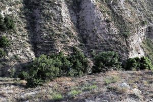 Metrelerce y&uuml;ksekten d&uuml;şt&uuml;! İtfaiye ekipleri zor kurtardı