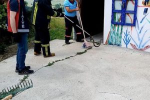 2 metrelik yılan paniğe neden oldu