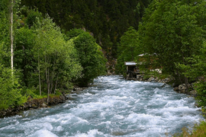 Barhal &Ccedil;ayı'na d&uuml;şen kadın, kurtarılamadı
