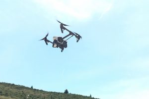 Bursa kestanesinin veriminin azalmasını &ouml;nlemek i&ccedil;in drone kullanılacak
